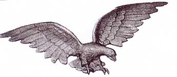 Cast Ornamental Iron Eagle